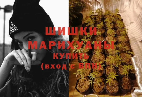 крисы Бронницы