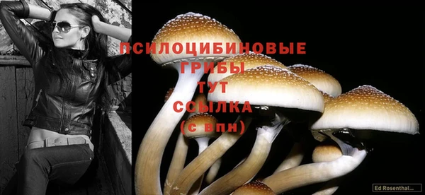 mix Бородино