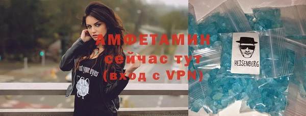 крисы Бронницы