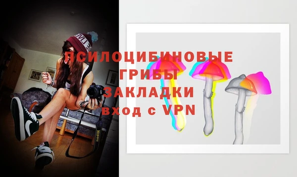 mix Бородино