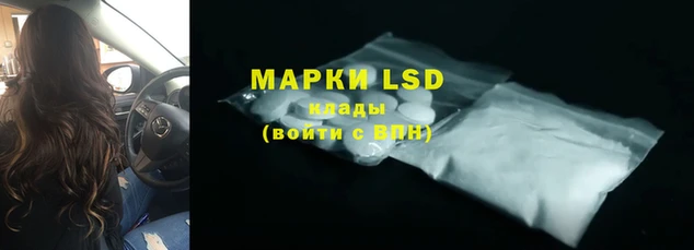 крисы Бронницы