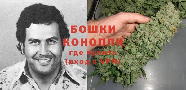 крисы Бронницы