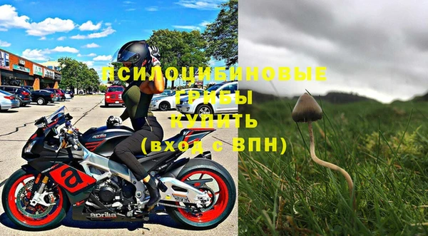 mix Бородино