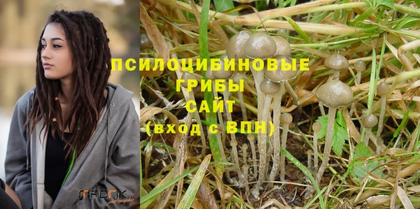 mix Бородино