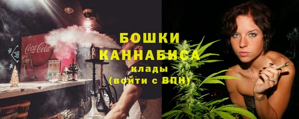 крисы Бронницы