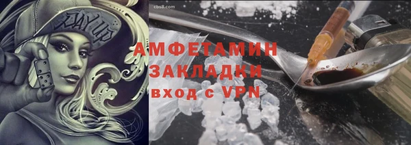 крисы Бронницы